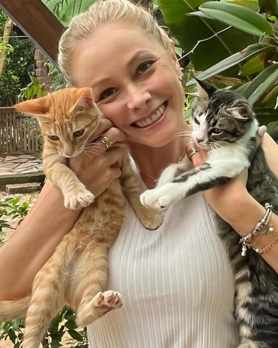 Karin Barkert