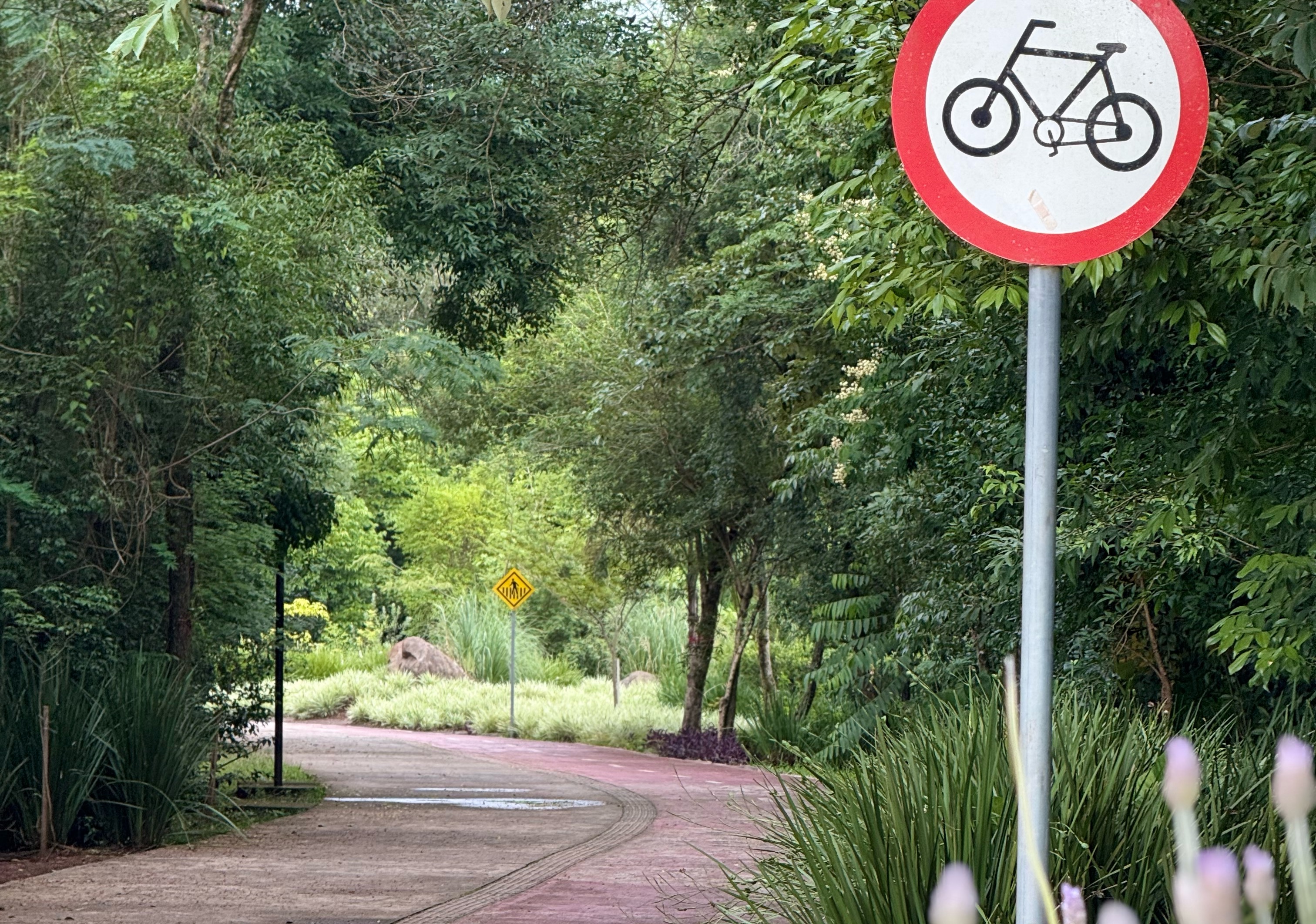 Homem fica pelado diante de mulher em Santa Clara do Sul e acaba preso